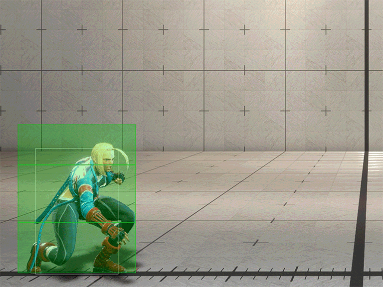 Hitbox Image