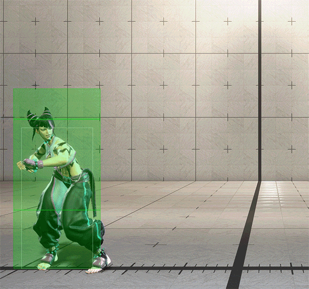 Hitbox Image