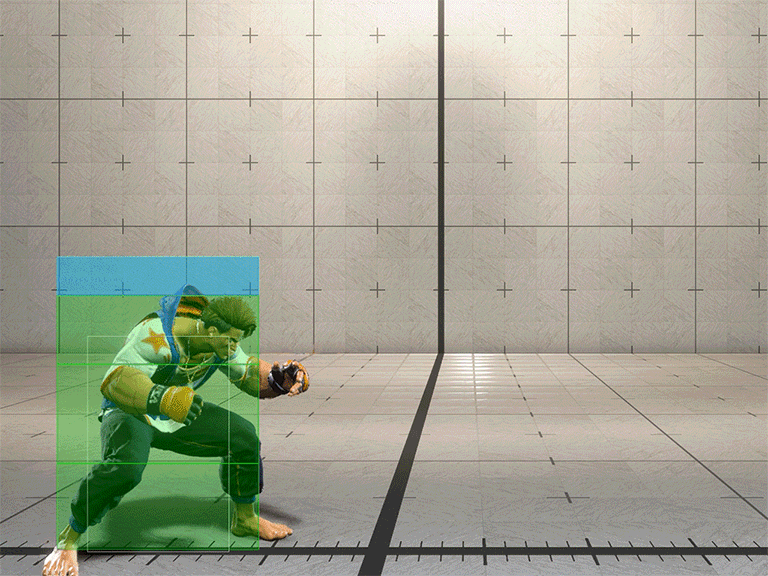 Hitbox Image