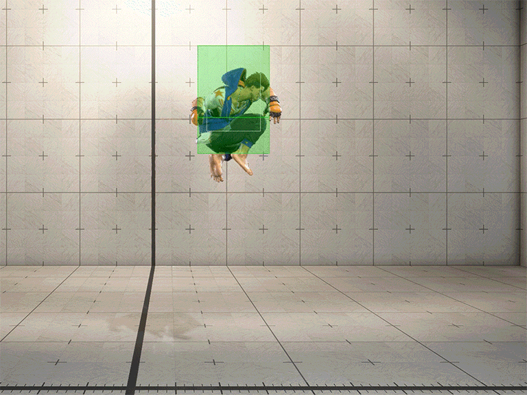 Hitbox Image