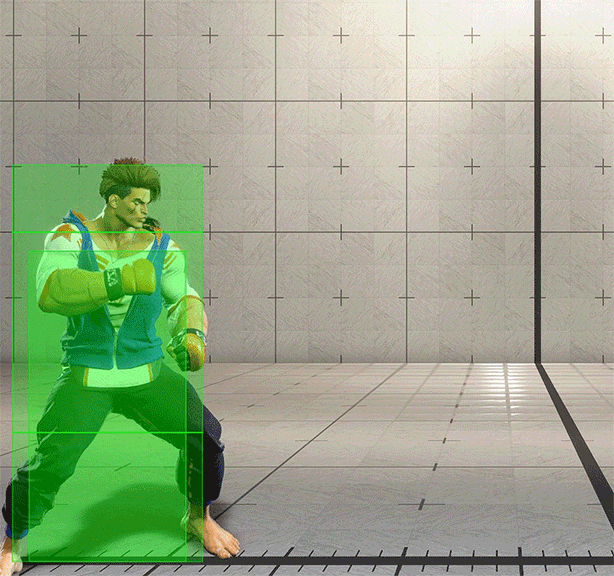 Hitbox Image