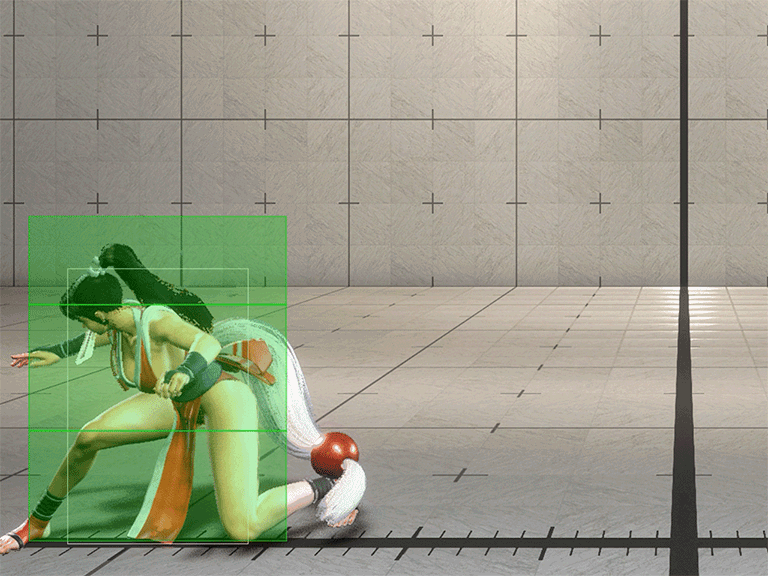 Hitbox Image