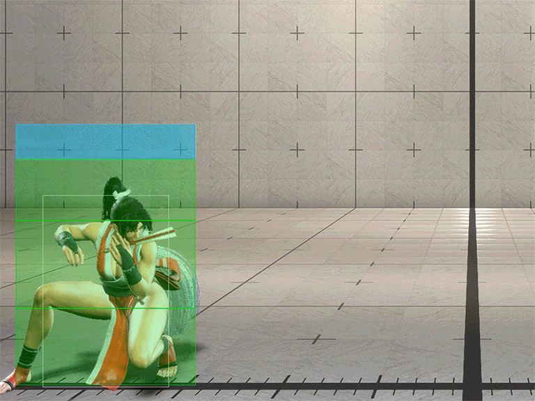 Hitbox Image