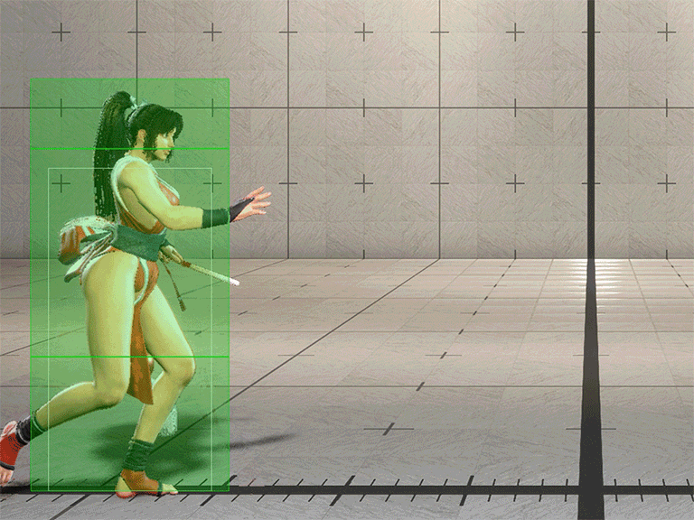 Hitbox Image