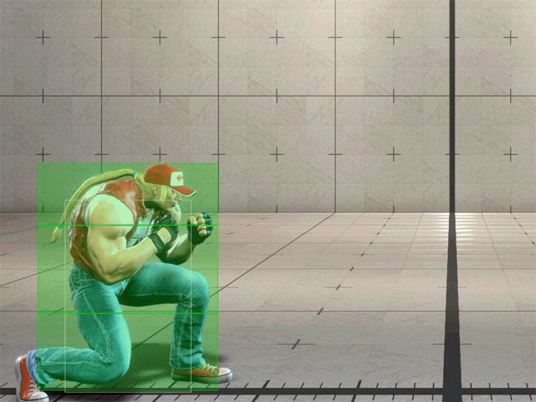 Hitbox Image