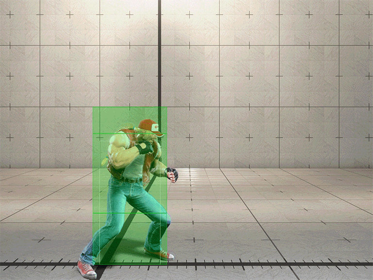 Hitbox Image