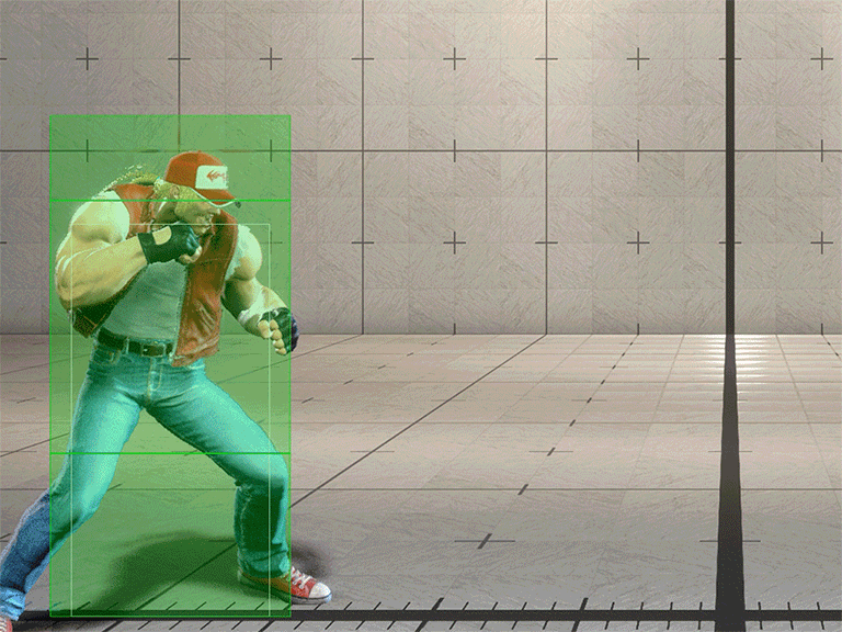 Hitbox Image