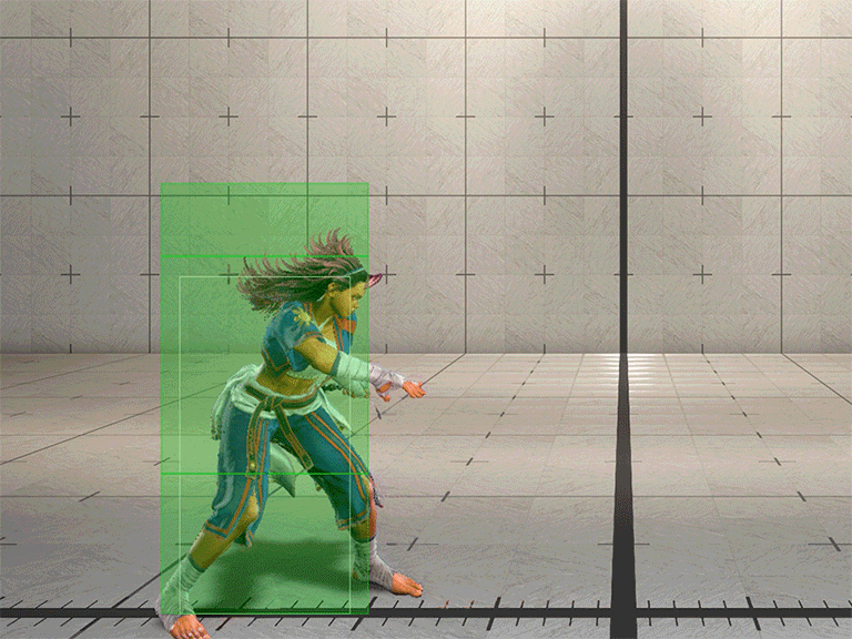 Hitbox Image
