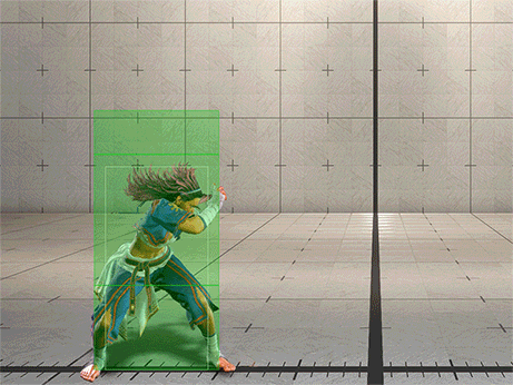 Hitbox Image