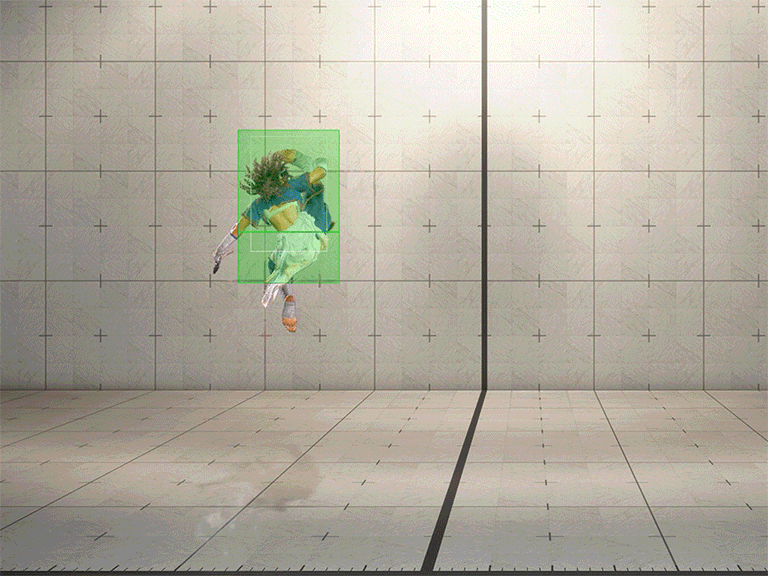 Hitbox Image