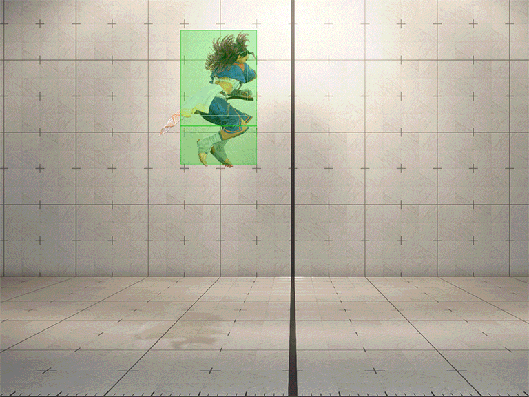 Hitbox Image