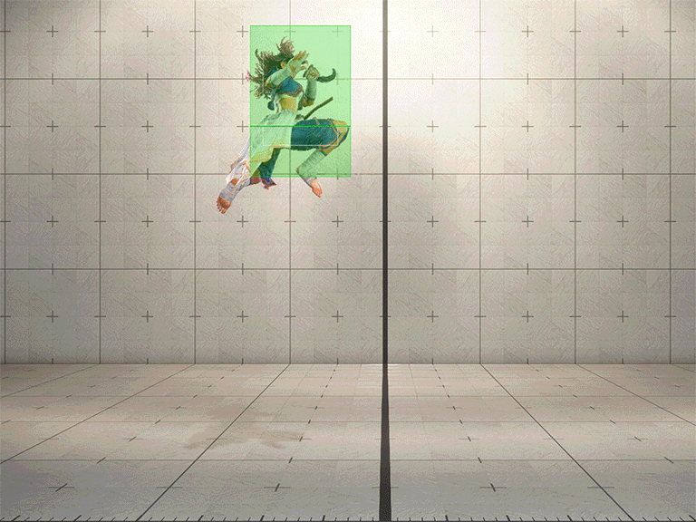 Hitbox Image
