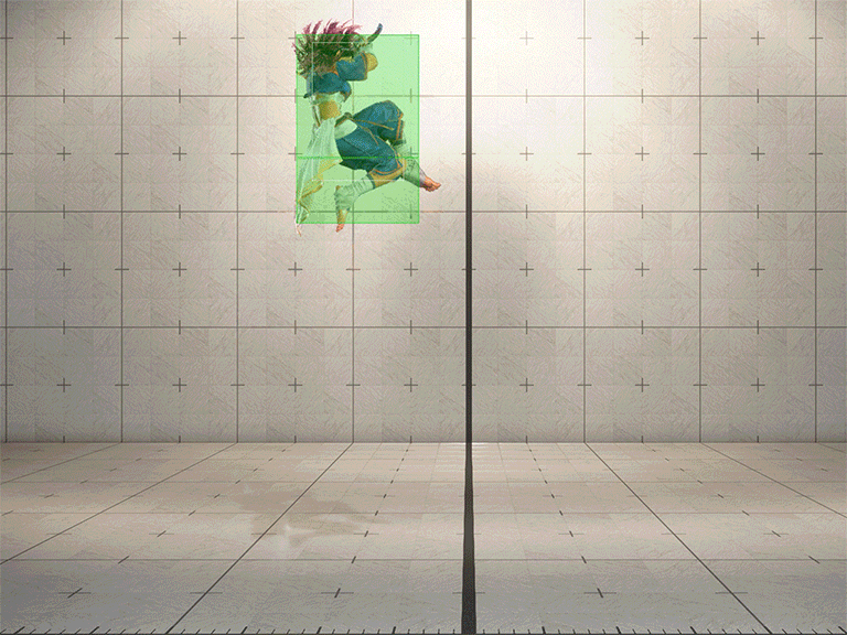 Hitbox Image