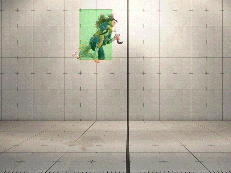 Hitbox Image