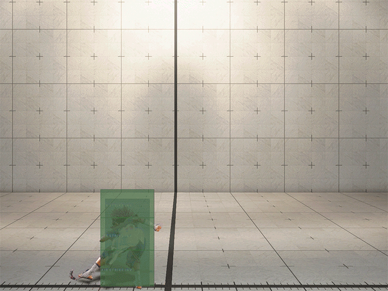 Hitbox Image