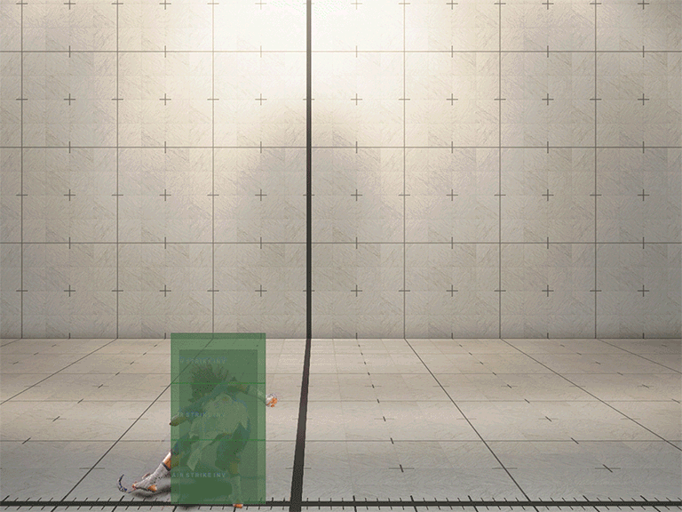 Hitbox Image