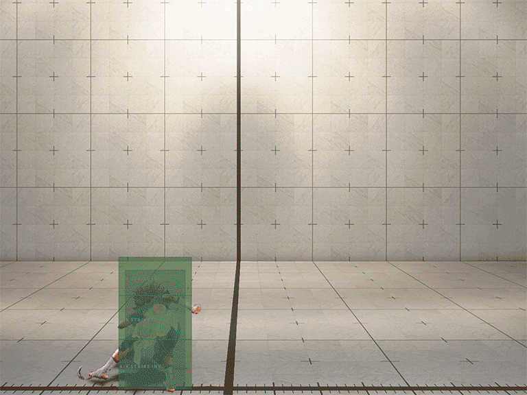 Hitbox Image