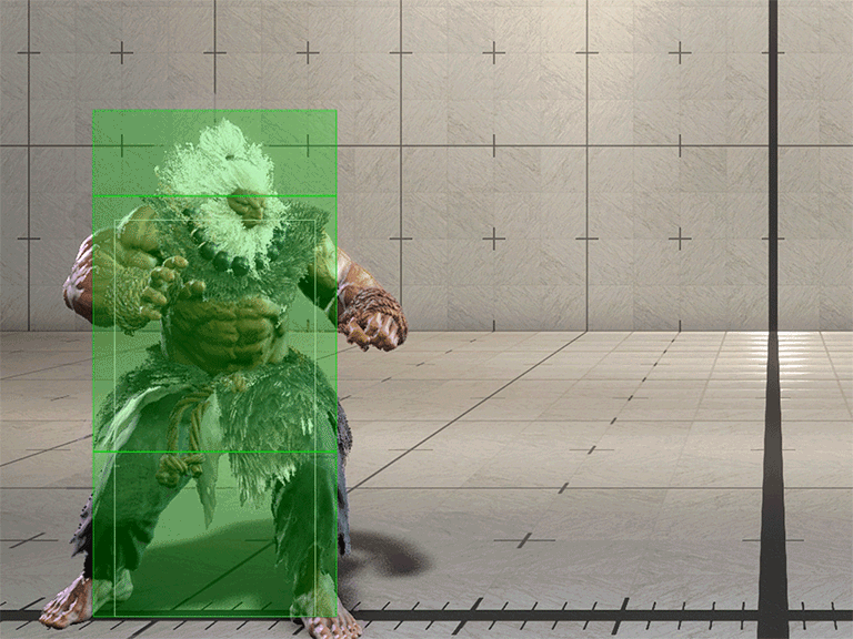 Hitbox Image