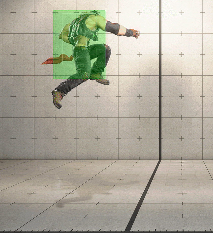 Hitbox Image