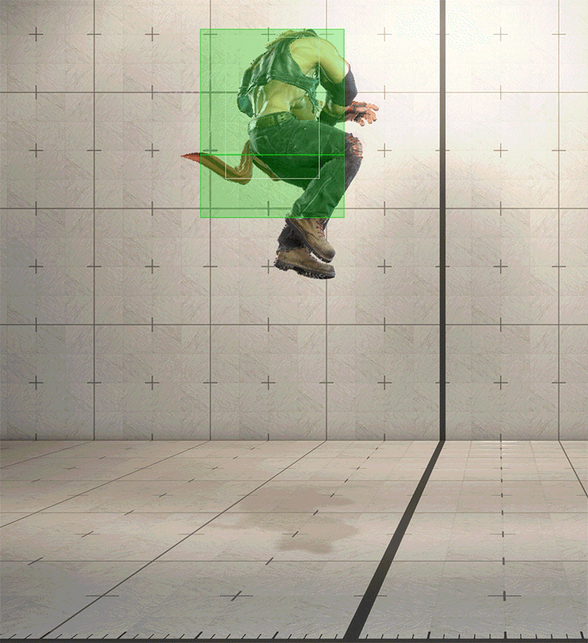 Hitbox Image