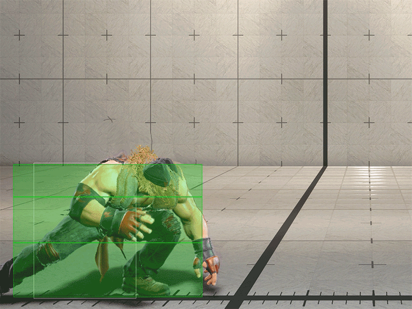 Hitbox Image