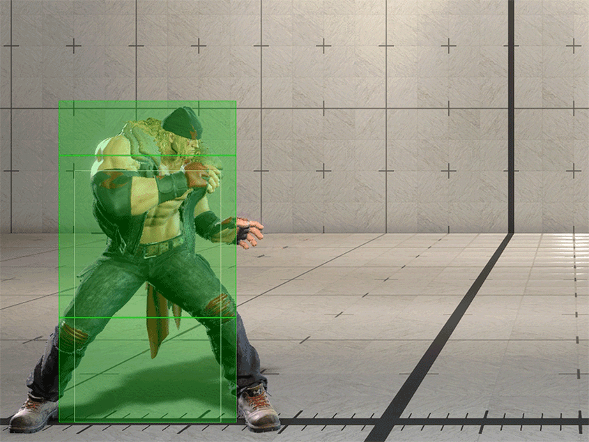Hitbox Image