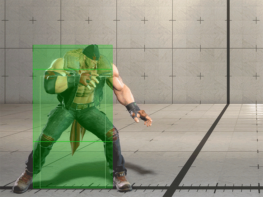Hitbox Image