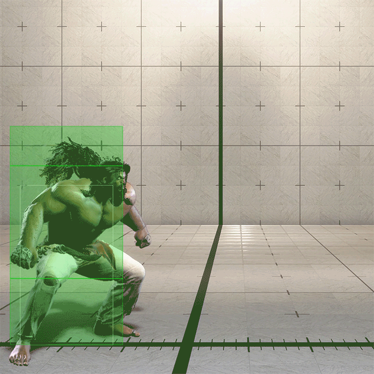 Hitbox Image