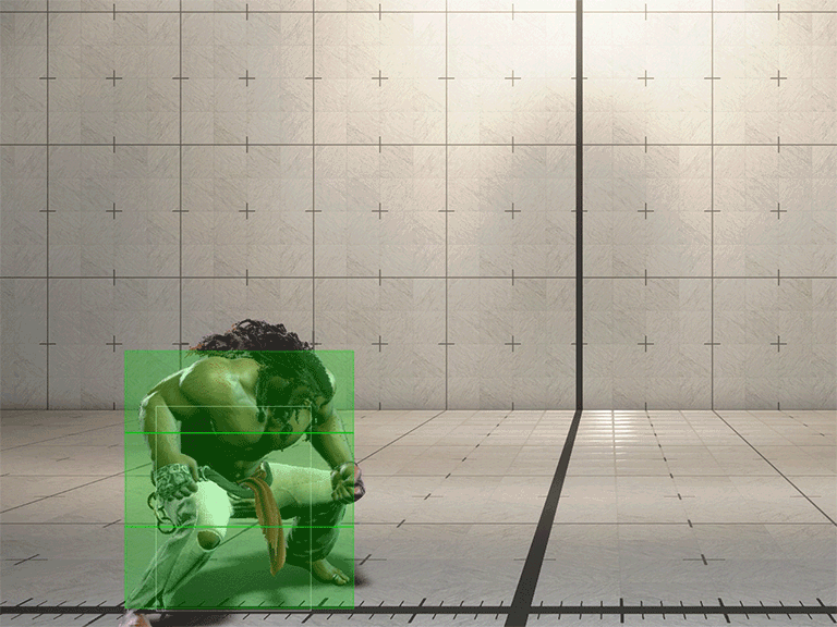 Hitbox Image