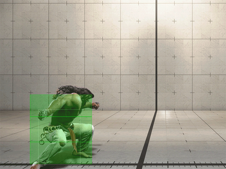 Hitbox Image