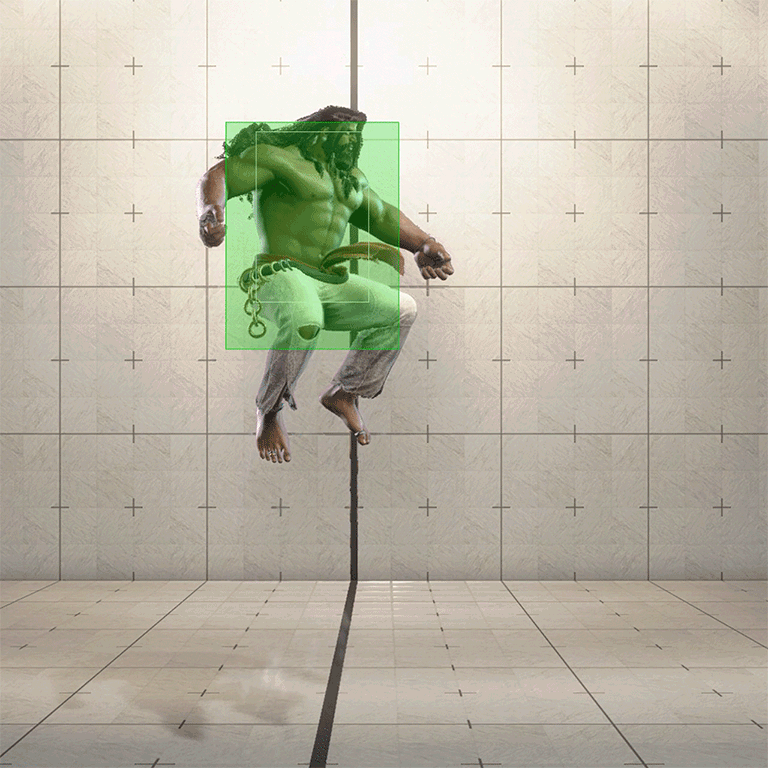 Hitbox Image