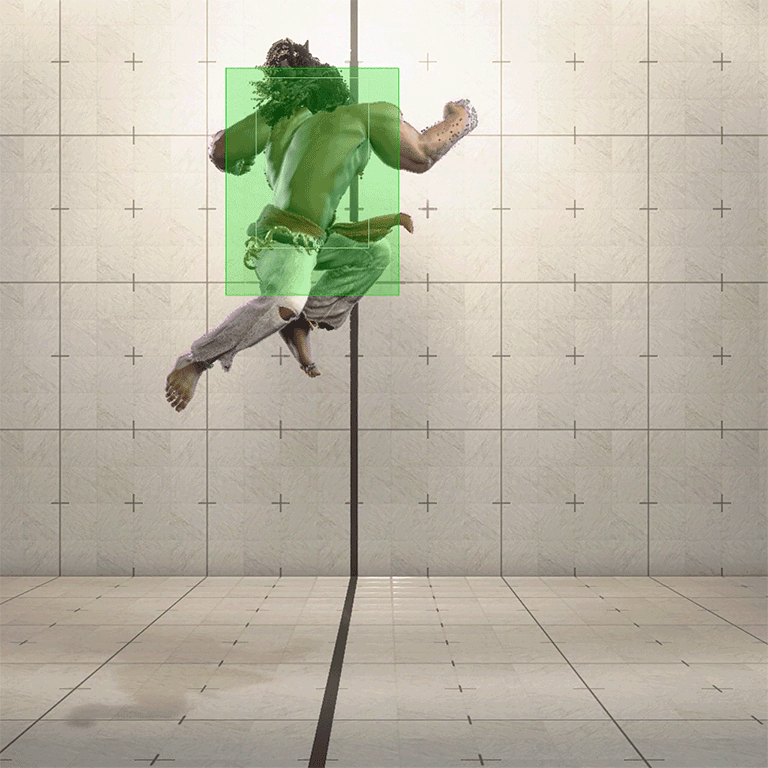 Hitbox Image