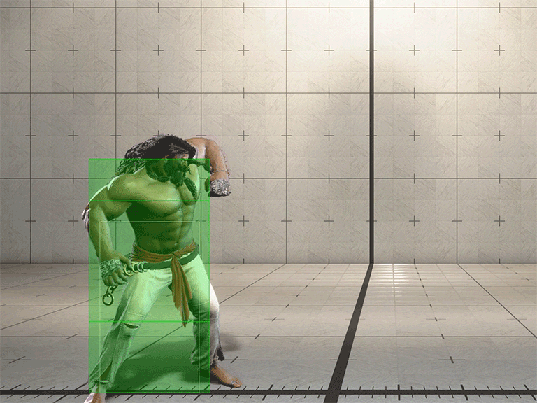 Hitbox Image