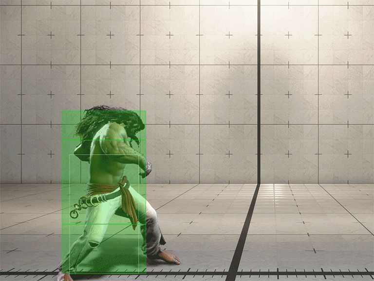 Hitbox Image