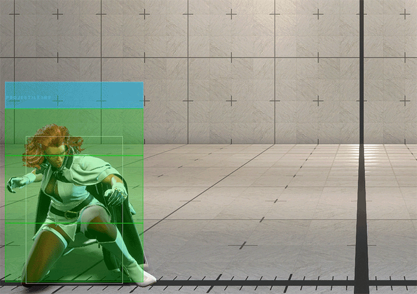 Hitbox Image