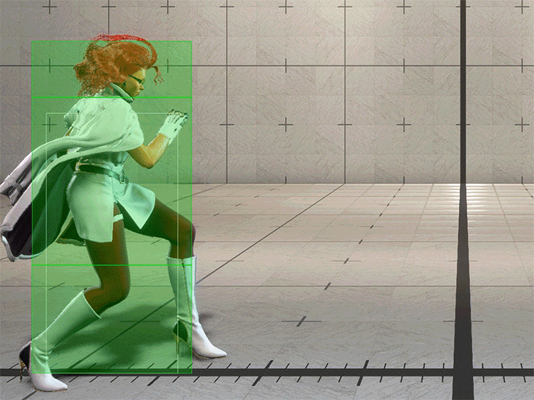 Hitbox Image