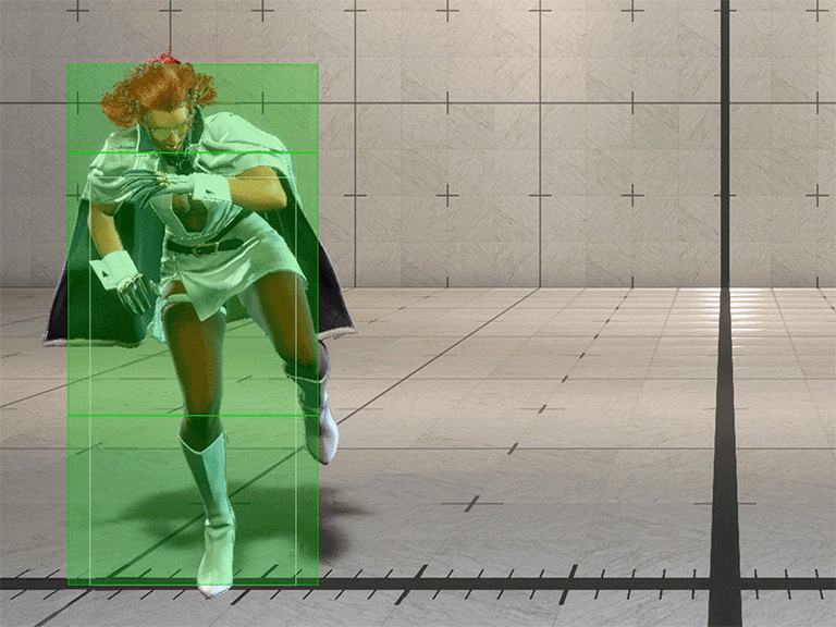 Hitbox Image