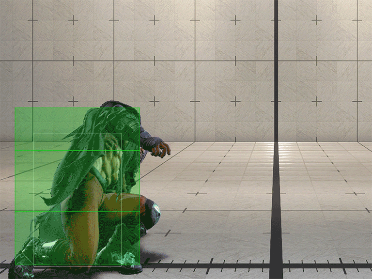 Hitbox Image