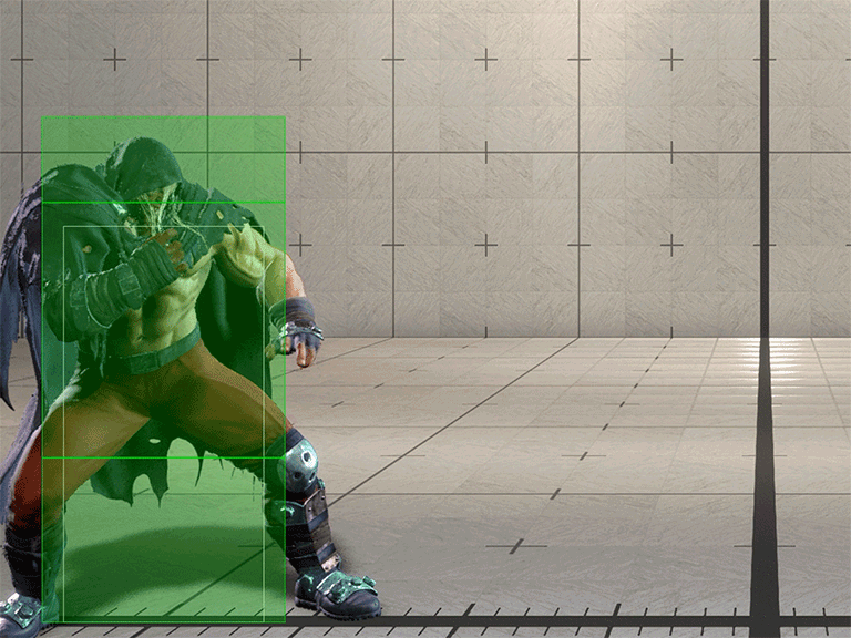 Hitbox Image