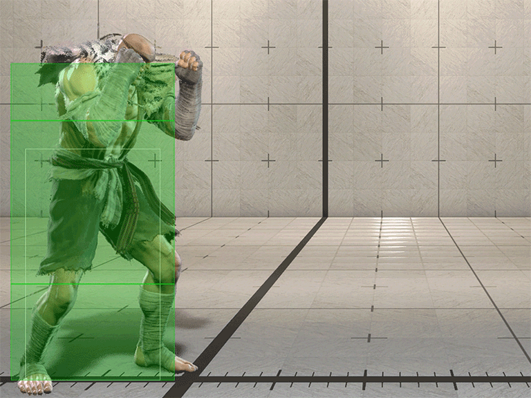 Hitbox Image
