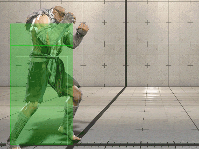 Hitbox Image