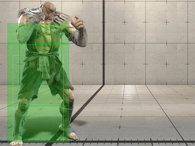 Hitbox Image
