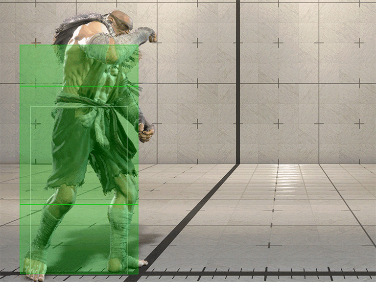 Hitbox Image